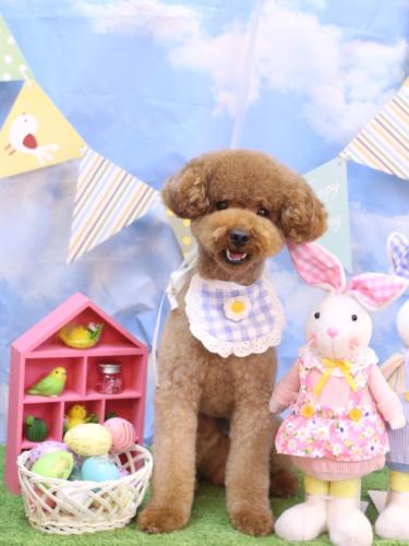 20240324まめくん